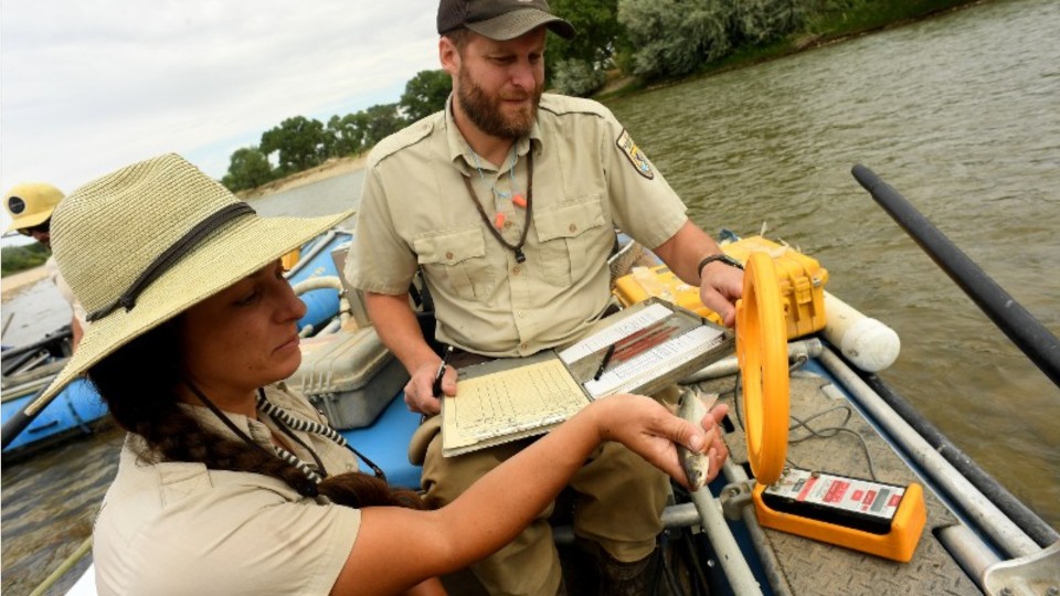 are-wildlife-biologist-and-zoologist-the-same-mudfooted