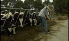 CareerOneStop video thumbnail